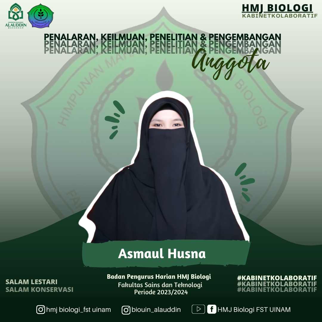 Hashifas Nurqalbi Halid