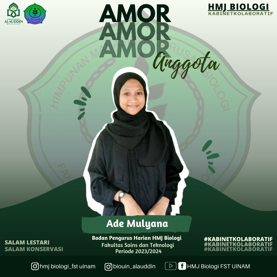Jelita Ayunda